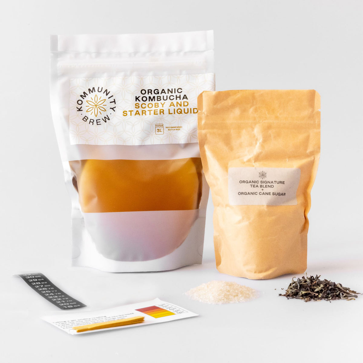 Verified XL Organic Kombucha Scoby with Instruction and Starter Tea